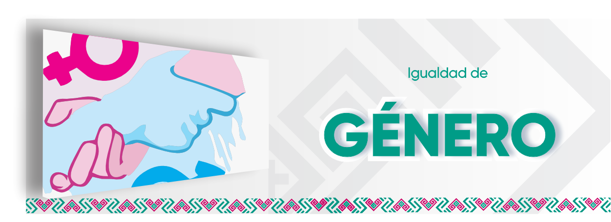 Igualdad de GÃ©nero